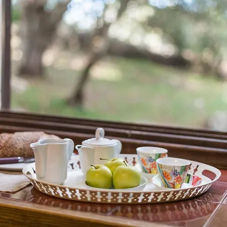 Hidden Retreat / Denga *